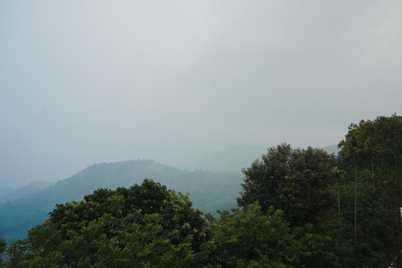 Sprise Munnar Resort And Spa Экстерьер фото